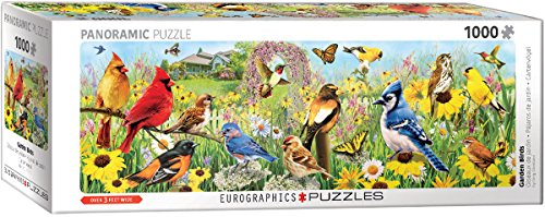 EuroGraphics