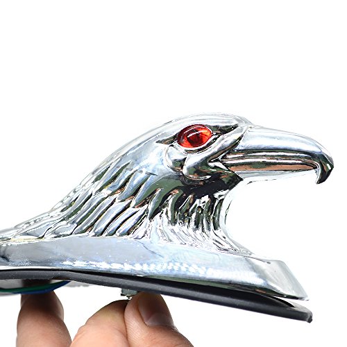 1 Universal+Ornament+Motorcycle+Mudguard+Fittings