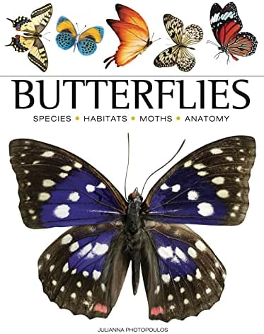 The Illustrated World Encyclopedia of Butterflies and Moths: A