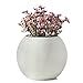 Self Watering Planter Modern Decorative Planter Pot (White)