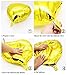 Eanjia Rainbow Ombre 4D Gradient Color Foil Round Balloons 4pcs 16