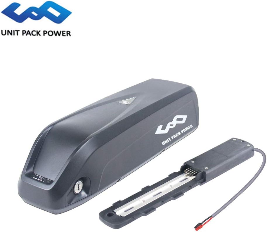 battery for 48v 1000w motor