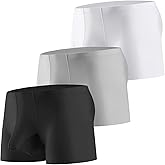 Evankin Mens Ice Silk Underwear with Bulge Pouch Breathable Cool Boxer Briefs Ultra-thin Stretch Boxers