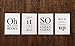 Confetti Fox Funny Bathroom Quotes and Sayings Decor Wall Art - Set of 4 White Pearl 5x7 Prints Unframed - Rap Song Lyrics Themed Decoration Signs