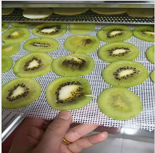 IRISFLY 5 Pcs Premium Non Stick Silicone Dehydrator Sheets For Fruit Dryer 14" x 14"