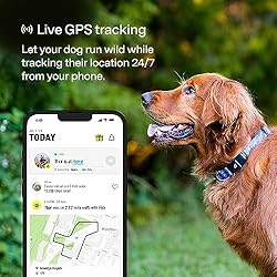 Fi Series 3 Smart Dog Collar - GPS Dog Tracker and