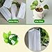 Frjjthchy 500 Piece Biodegradable Non-Woven Nursery Grow Bags Seedling-Raising Bags White (3.15×3.94 in)thumb 4