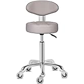 Kaleurrier Swivel Stool Chair Adjustable Height,Heavy Duty Hydraulic Rolling Metal Stool for Kitchen,Salon,Bar,Office,Massage (with Back Rest) (Grey)
