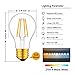 Joddge 48ft Indoor Outdoor String Lights 15 Sockets Vintage Edison Bulbs Patio Garden Yard Deck Cafe Dimmable Weatherproof Commercial Grade [UL Listed] (S14 String Light - 3)