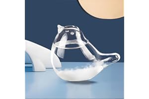 FUNOHYE Storm Glass Weather Forecast Bottle - Snow Globes Barometer,Cloud Storm Weather Station,Decorative Weather Predictor, Home and Office Decor, Unique Gift Idea (Medium)