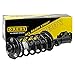 OREDY Pair Front Struts for Chevy Equinox Captiva Sport Saturn Vue GMC Terrain Pontiac Torrent Set of 2 Repalcement with Coil Spring Assembly - 172526 172527