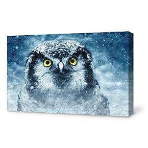 for Living Room Bedroom Home Artwork Paintings Snow...