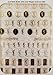 Elegant Large Nail Art-Decal Fun Luxury Nail Stickers-Designer - Toenail Sticker - Manicure-Acrylic Gel Nail (Large YSL)