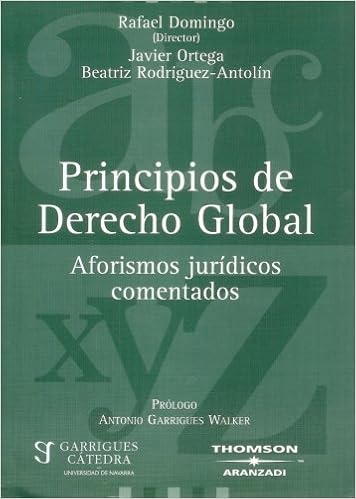 Principios De Derecho Global Rafael Domingo 9788497671842 - 