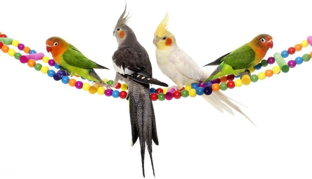 Mrli Pet Ladder Bird Toys for Bird Parrot Macaw African Greys Budgies Cockatiels Parakeet Hamster Rat Crawling Rainbow Bridge Wooden Cage Funny Perch Trainning Swing Toys 22 inches : Pet Supplies