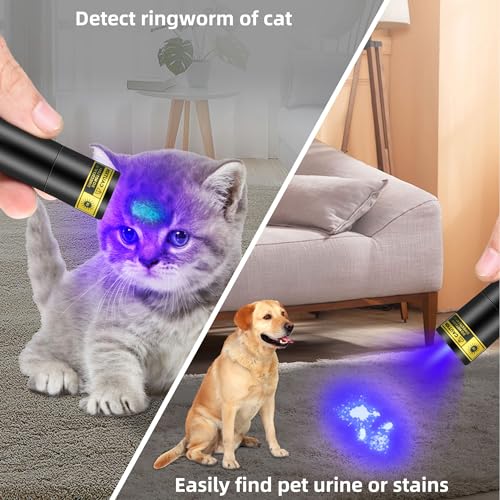 TERRIFI UV Flashlight 365nm - Portable Rechargeable Mini Blacklight LED Ultraviolet Light for Detecting Pet Urine Stains, Fluorescent Material, Money and Amber