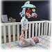 Fisher-Price Moonlight Meadow SmartConnect 2-in-1 Projection Mobile