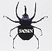 Saosin