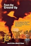 From the Ground Up: Environmental Racism and the Rise of the Environmental Justice Movement (Critical America)