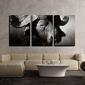 3 Piece Canvas Wall Art - African Buffalo Portrait (Syncerus Caffer) - Kruger National Park (South Africa) - Modern Home Art Stretched and Framed Ready to Hang - 16"x24"x3 Panels