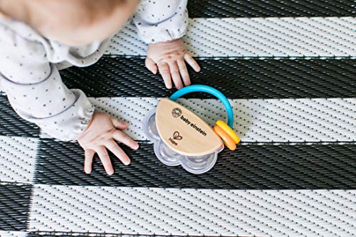 2 Baby+Einstein+Tambourine+Wooden+Musical