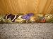 Door Draft Stopper Filled with Fragrant Balsam - Standard 2" - Butterfly Wings