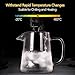 Glass Teapot - Tea Maker Tea Infuser, 304 Stainless Steel Infuser & Germany Clear Glass. Borosilicate Glass Tea Pot with Infuser for Blooming and Leaf Tea. 27 Ounce / 800 Milliliter as Teakettle