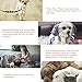 UFBemo Personalized Collar Soft & Comfy Pattern Padded Dog Collar, Matching Leash & Harness Available Separately for Pet Collars with Decorationthumb 3