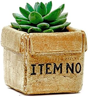 Succulent Planter / Cactus Planter. 3.25 Inch Tan Cement Flower Pot Container - by TERRARIUMS FOR SALE