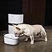 HoneyGuaridan W18 Automatic Pet Water Drinking Fountain, Water Dispenser for Dogs and Cats, 2L (70 oz)