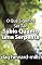 Livro O Que significa ser tão Sábio quanto uma Serpente