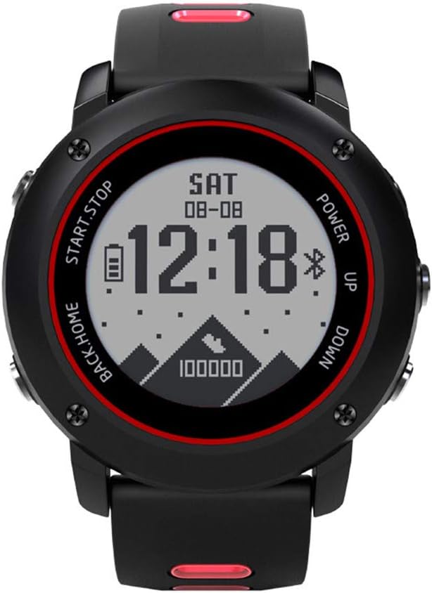 dq2 smartwatch