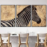 3 Piece Framed Canvas Wall Art Single Striped Animals Black and White Dramatic Modern Art for Living Room Bedroom - 16