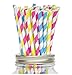 Secret Life(TM) Yellow, Lime Green, Blue and Fuchsia Striped Paper Straws, 100% Biodegradable Color Straws Set + 100% Biodegradable Container Box 100ct (PSCFPR02)
