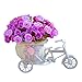 Voberry Home Decorative Furnishing Floats [Bicycle Basket] [Mini Bike] Rose Flowers Tricycle Plant Stand (Purple)