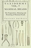 Taxidermy Vol. 7 Mammal Heads - The Preparation, Skinning and Mounting of Mammal Heads by Various