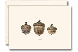 Earth Sky + Water - Three Acorns Notecard Set - 8 Blank Cards with Envelopes