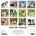 Just Boston Terriers 2020 Wall Calendar (Dog Breed Calendar)