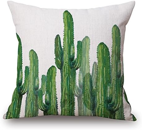 Happy Cool Cotton Linen Square Hand Drawing Cacti Home Office Indoor Decorative Dinning Room Kitchen Chair Seat Sofa Couch Chair Seat Back Case Home Pillowcase Cover 18"x 18" Rhipsalis-1