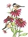Gina B. Designs Chickadees on Coneflowers Boxed Note Cards-- Set of 8