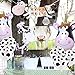 Birthday Party Decorations
