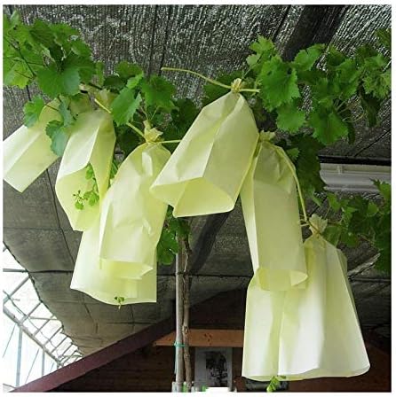 bolsas para uvas amazon