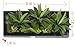 Artificial Flower-Wall Hanger 7.87 in 21.65 in, 3D Succulent Plants Moss on The Stone Green Leaves Grass Ferns with Frame Shape Vase Wall Decor, Black Frame