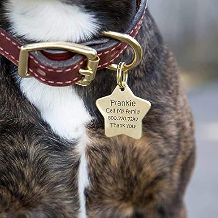 star shaped dog tag