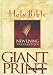 New Living Translation - NLT - Giant Print - Tyndale House