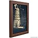 Craig Frames Contemporary Picture Frame, 18 x 24 Inch, Walnut Brown