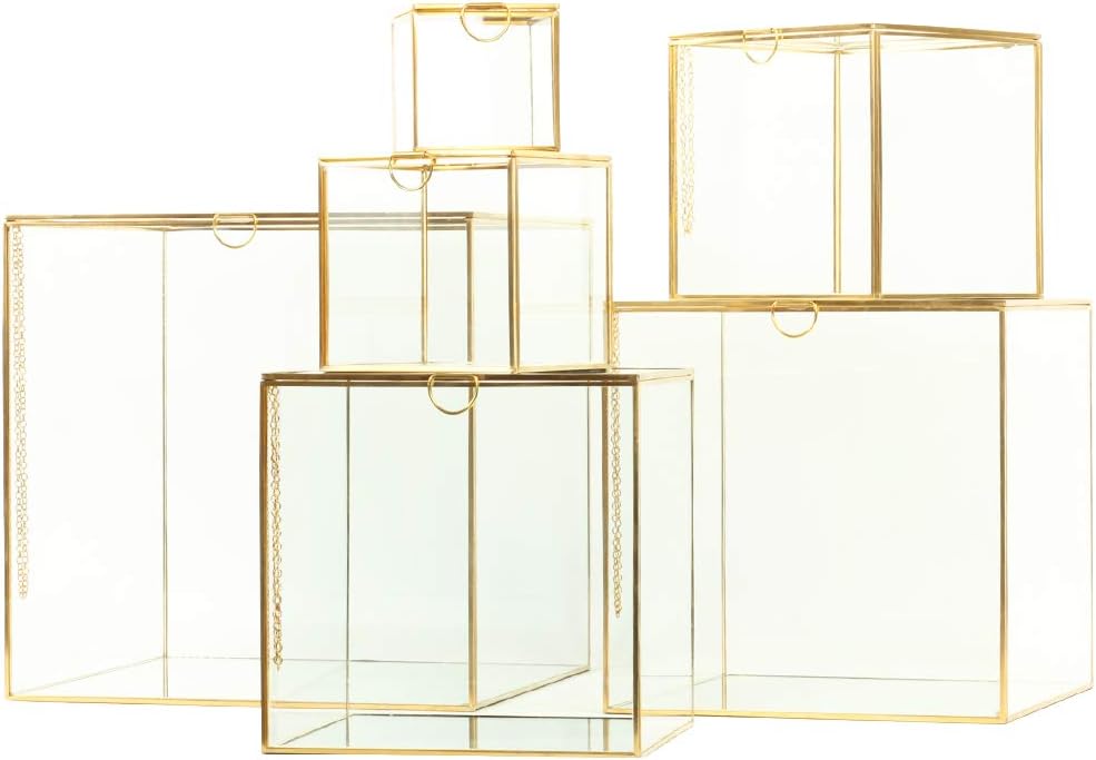 Best coffee table display case