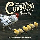 What Chickens Teach Us by
