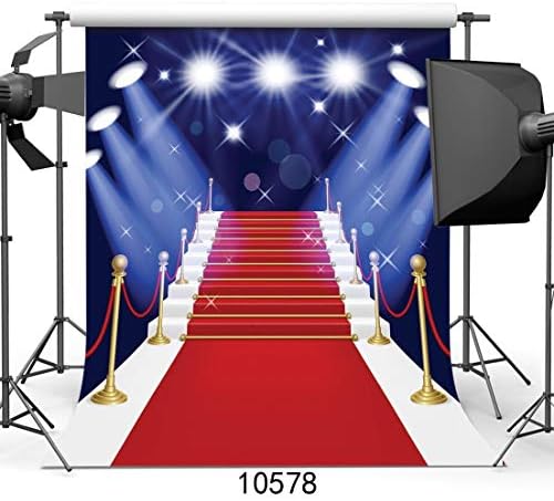 Szzwy 10x10フィート ストアー 300x300cm 薄手のビニール写真背景 ボケ 高級ハリウッドレッドカーペットカーテン 3人またはマジオアン背景 結婚式 イベント 写真スタジオ小道具 ポートレート 背景