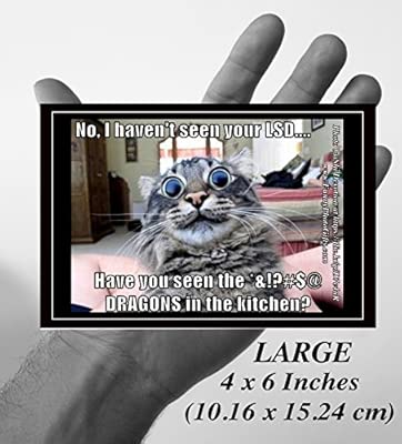 Téléchargement gratuit Images Lsd Dragons 1 Large Funny Humorous Fridge Magnet Approx 4x6 actualisé par